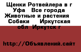 Щенки Ротвейлера в г.Уфа - Все города Животные и растения » Собаки   . Иркутская обл.,Иркутск г.
